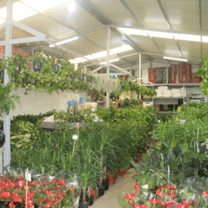 Al Istiqama Nursery