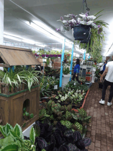 Al Noaimi Agriculture & Irrigation Services