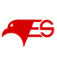 European Guard & Security Services Co
