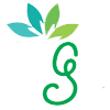 Evergreen Landscaping Solution