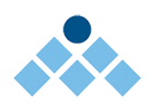 Management Solutions International