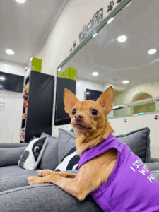Oryx Veterinary Center