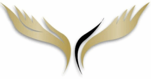 Peace Enterprise Trading, Contracting & Services Co WLL