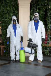 Pest Control In Qatar
